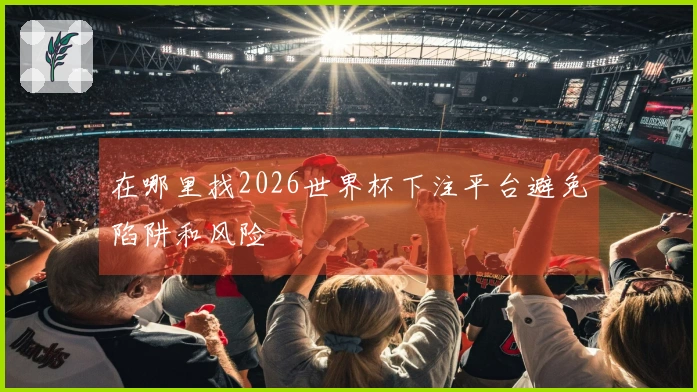 在哪里找2026世界杯下注平台避免陷阱和风险
