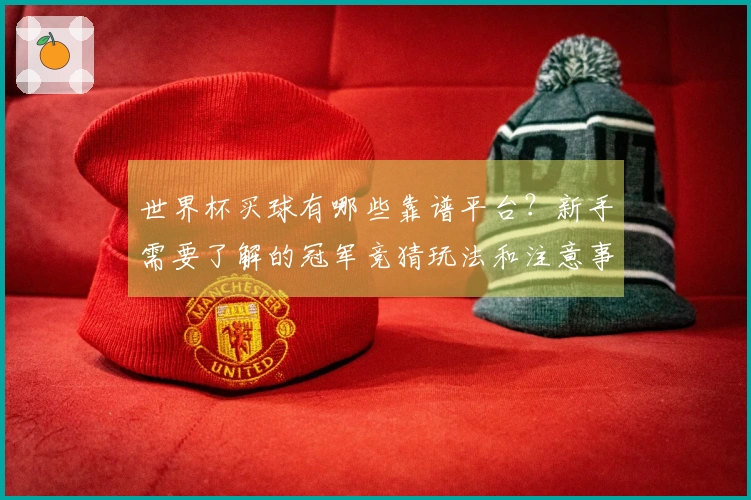 世界杯买球有哪些靠谱平台？新手需要了解的冠军竞猜玩法和注意事项